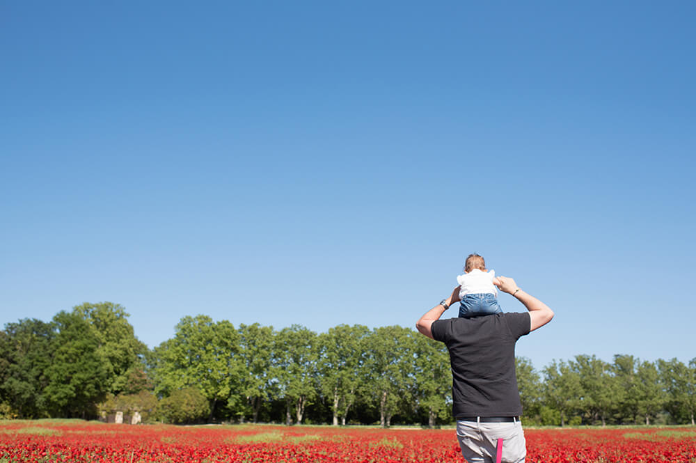 Bébé sur les épaule de papa. Séance photo champ de coquelicots.