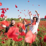 Séance photo famille dans un champ de coquelicots. Envolée de fleur de coquelicots.