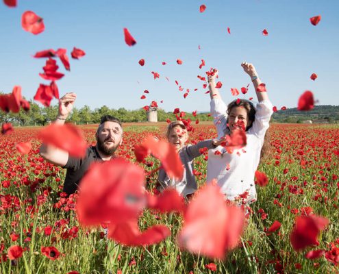 Séance photo famille dans un champ de coquelicots. Envolée de fleur de coquelicots.