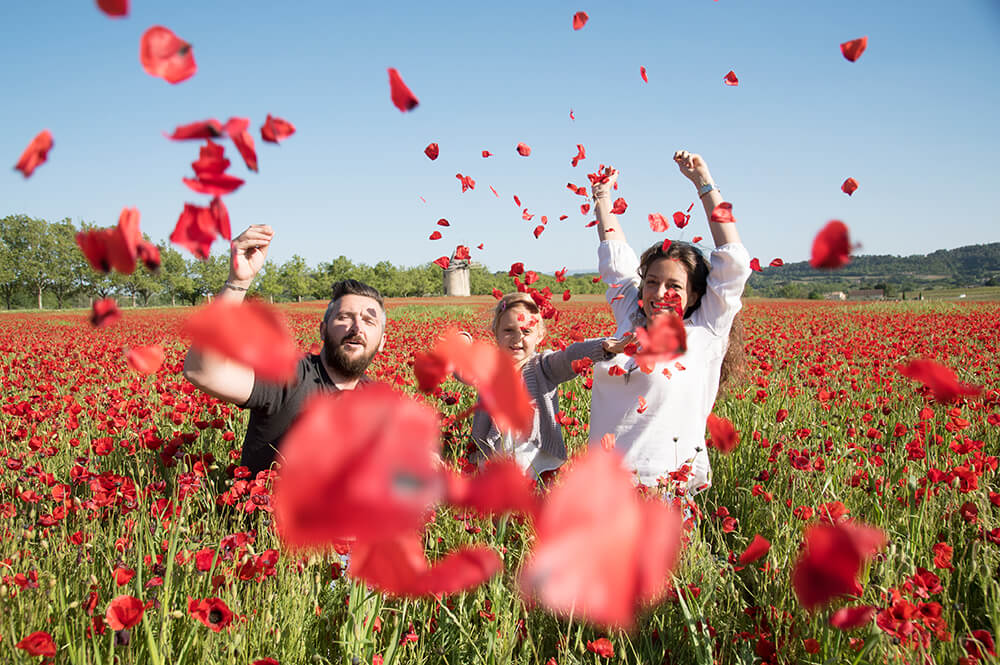 Séance photo famille dans un champ de coquelicots. Envolée de fleur de coquelicots.