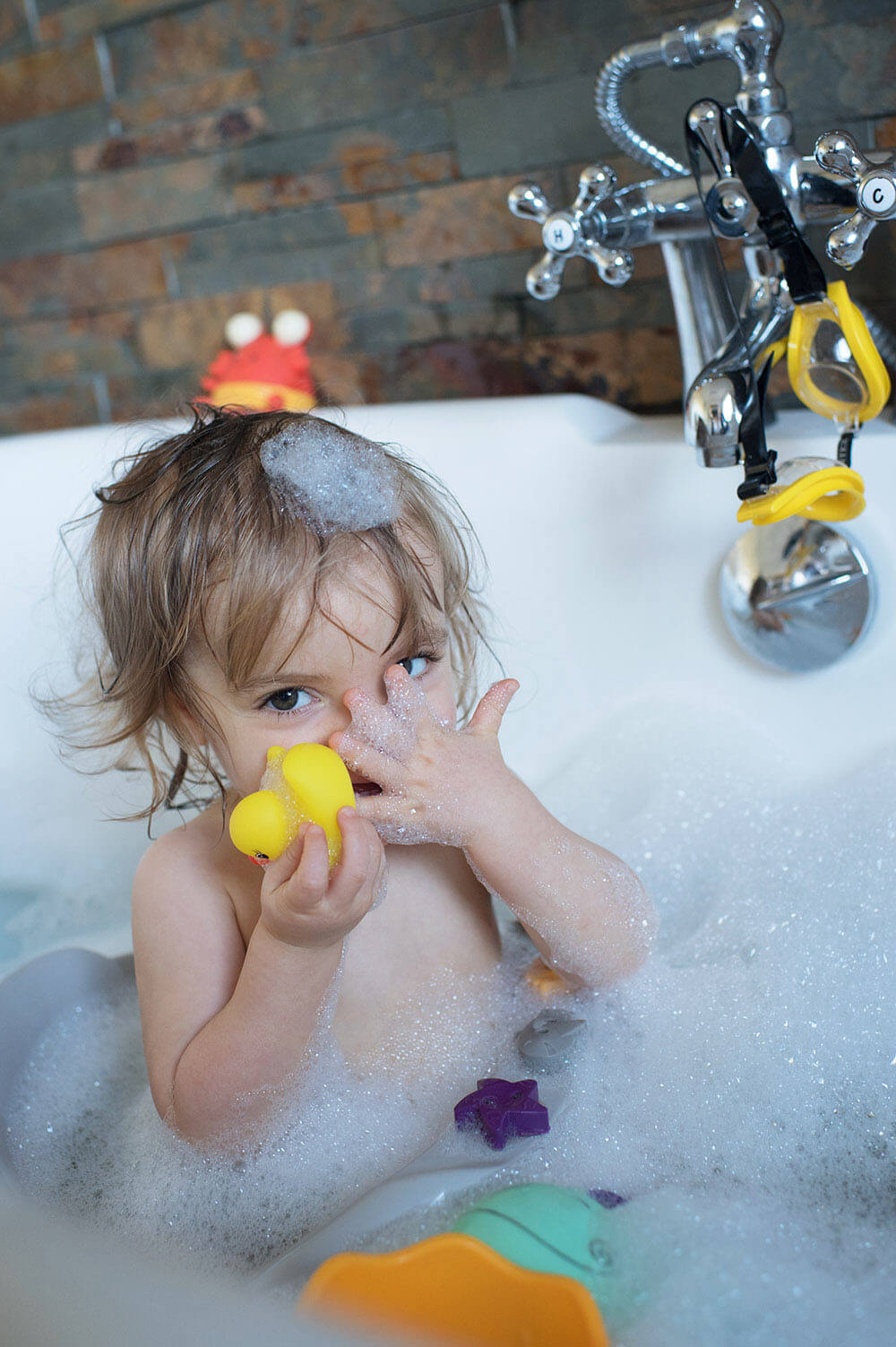 Portrait d'une puce dans son bain.