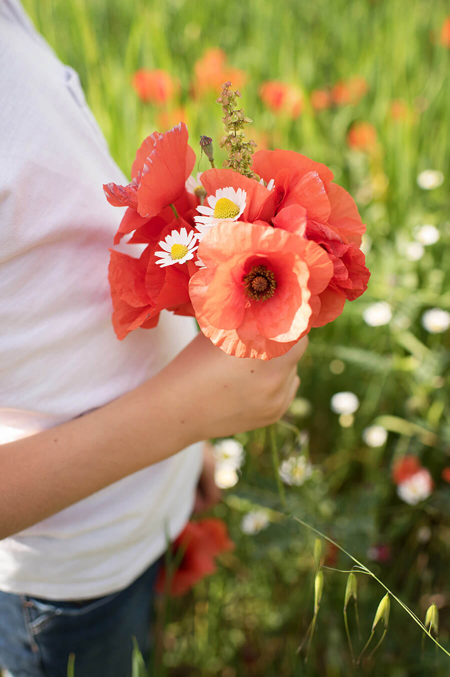 Bouquet champêtre, fleurs de coquelicots.