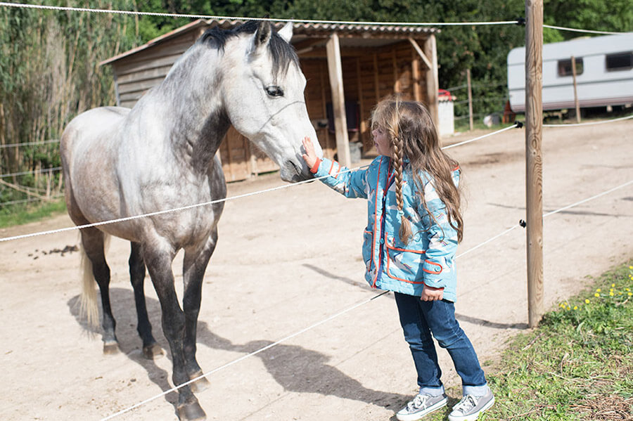 séance photo famille cheval bandol