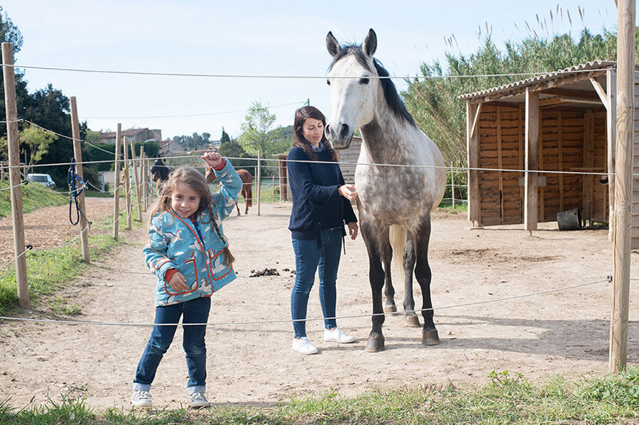 Portrait d'un cheval blanc et de sa cavalière.