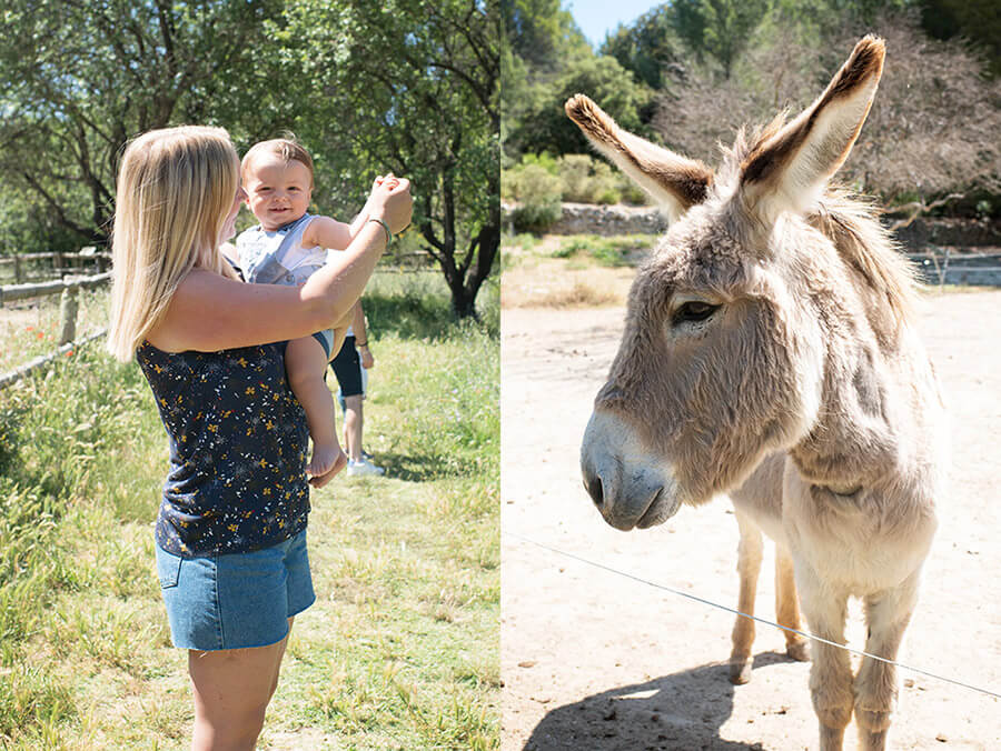 Shooting photo famille à Aubagne