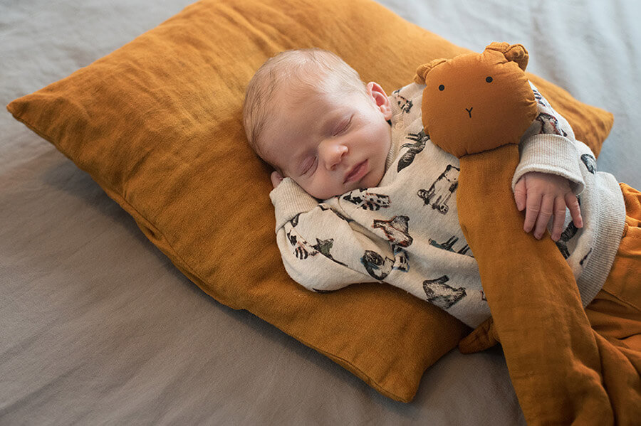 Portrait nouveau-né et son doudou sur un coussin caramel.